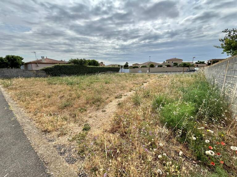 Terrain — photo 1