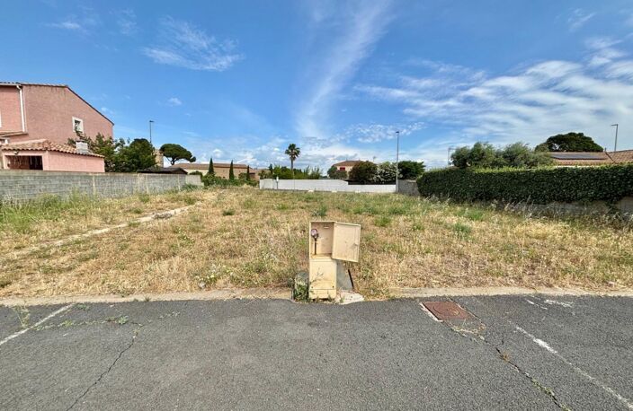 Terrain — photo 2