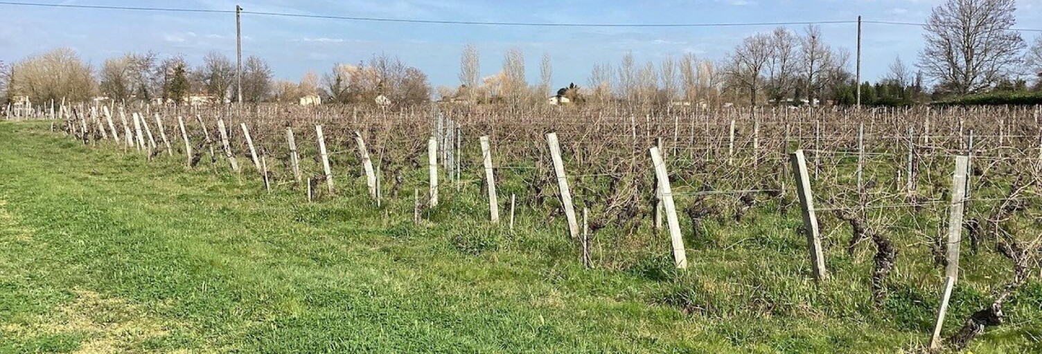 Terrain  940 m² à vendre à Saint-Sulpice-de-Faleyrens (33330)