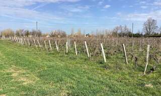 Terrain  29380 m² à vendre à Saint-Sulpice-de-Faleyrens (33330)