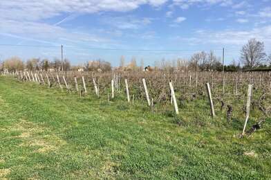Terrain  578000 €