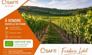 Terrain  29380 m² à vendre à Saint-Sulpice-de-Faleyrens (33330)