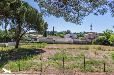 Terrain  350000 €
