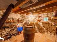 Maison en pierre de 10 pièces principales — photo 4
