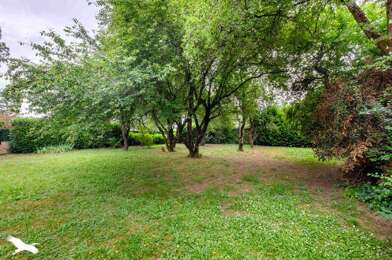 Terrain  240000 €