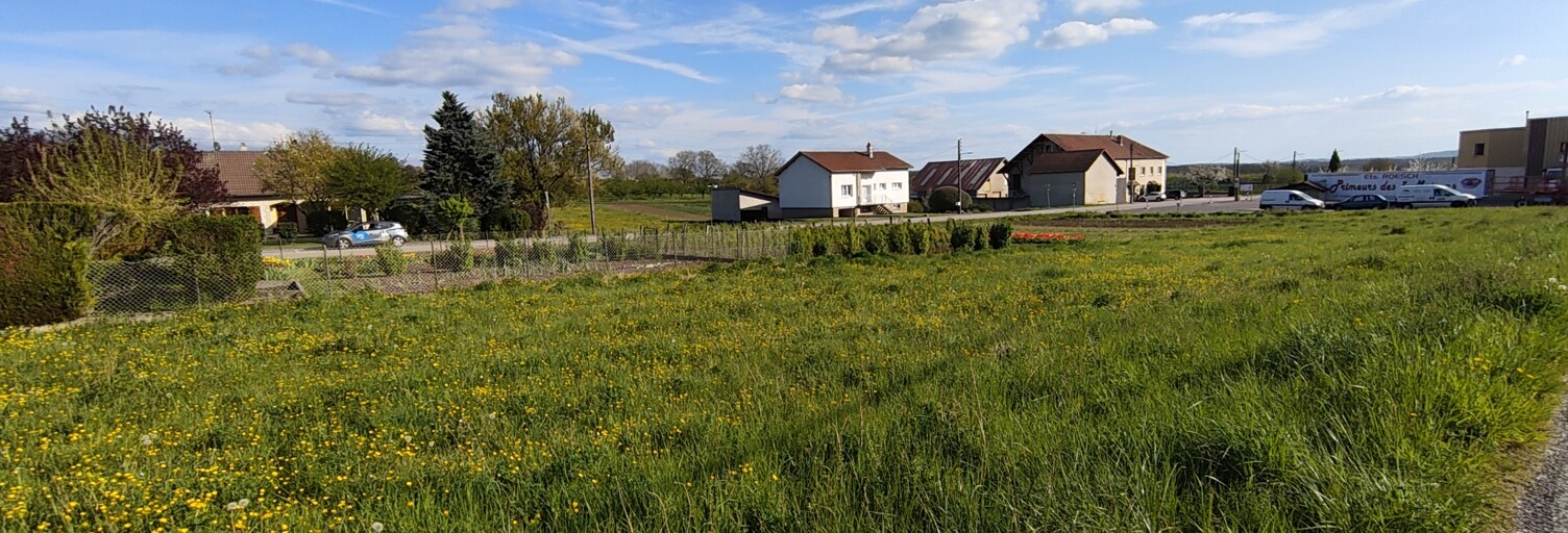 Terrain  998 m² à vendre à Anthelupt (54110)