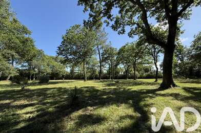 Terrain  65000 €