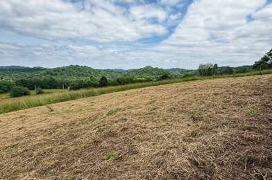 Terrain  62000 €