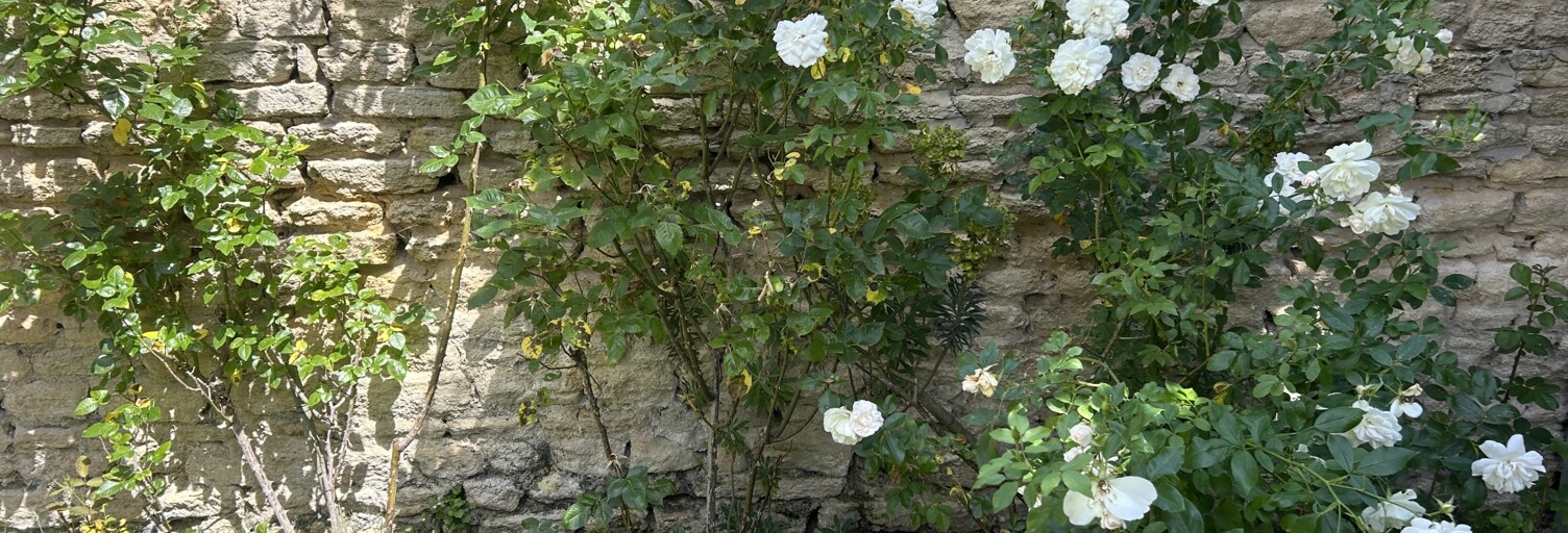 Photo N° 2