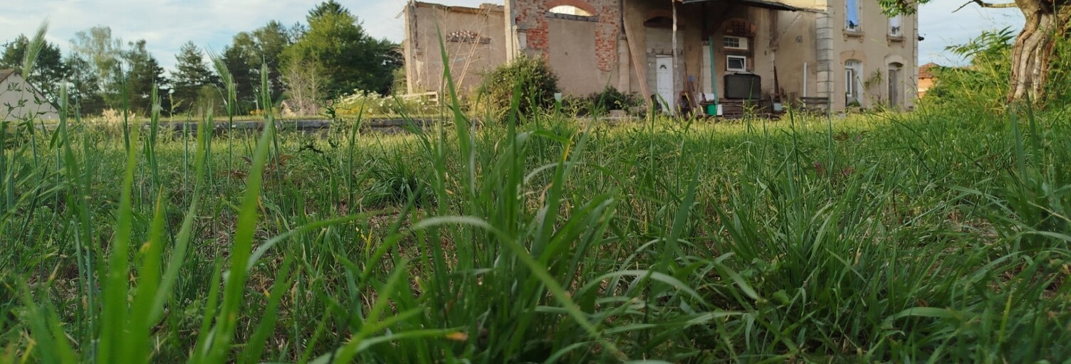 Photo N° 2