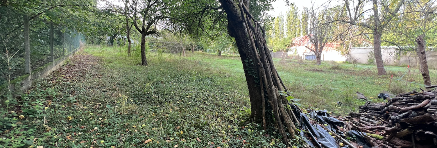 Terrain  730 m² à vendre à Jouarre (77640)