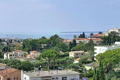 Appartement 1 pièces 720 €