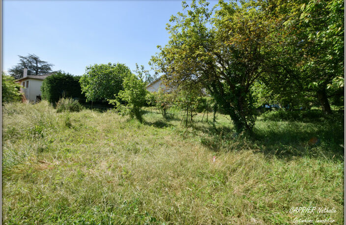 Maison avec grand terrain — photo 2