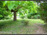 Maison familiale ou investissement à Port-Sainte-Foy-et-Ponchapt – 175 m² – 5 chambres – Double logement – Jardin 1038 m² — photo 4