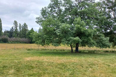 Terrain  30000 €