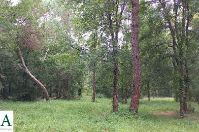 Terrain  35000 €