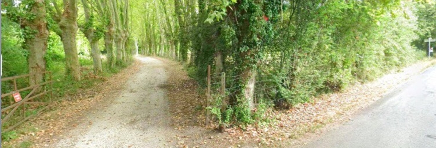 Photo N° 2