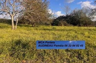 Terrain  55000 €