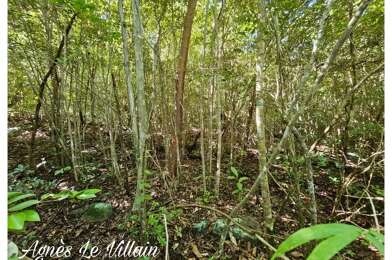 Terrain  162000 €