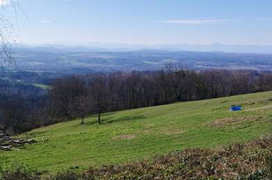 Terrain  19900 €
