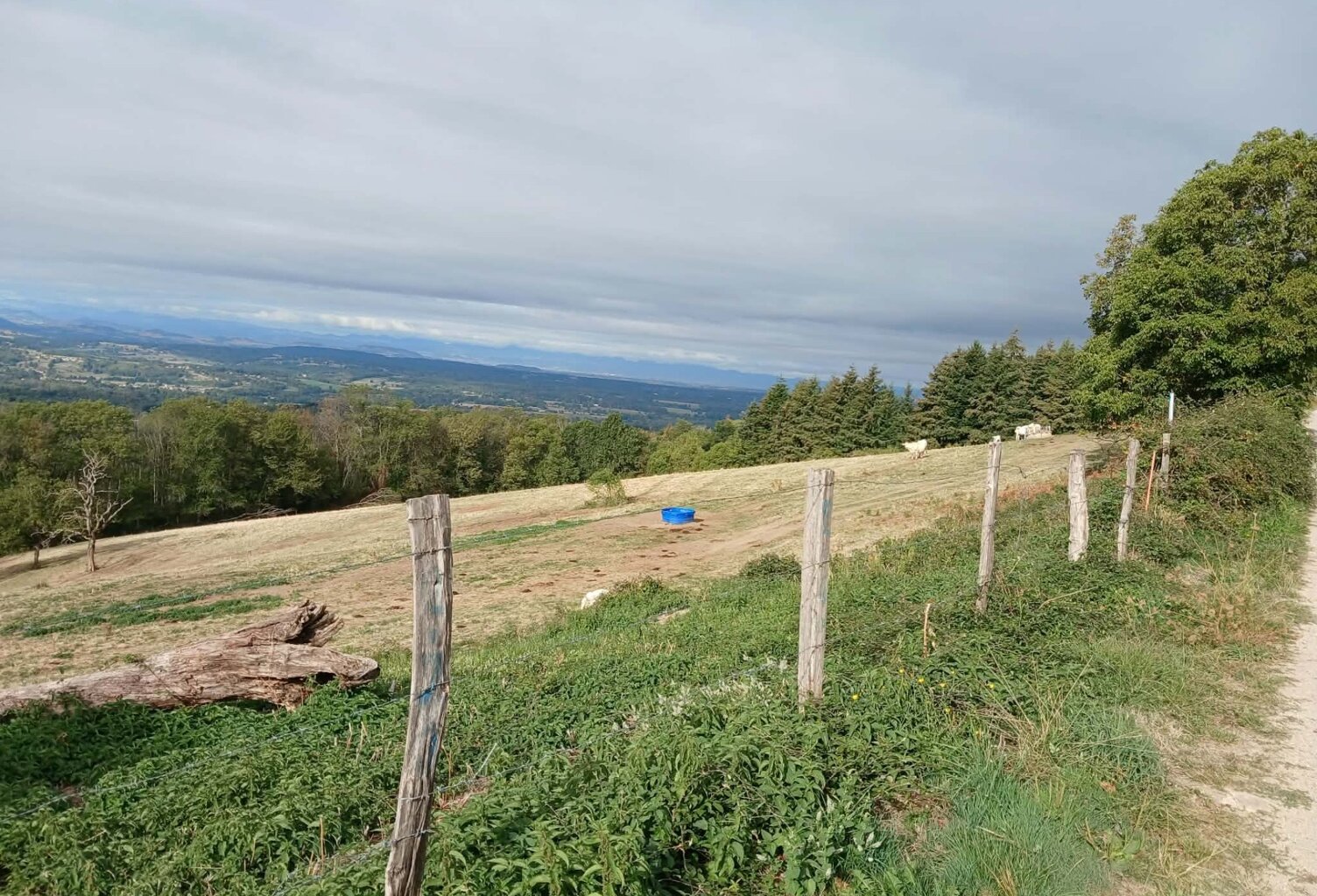 Terrain à vendre de 4122  proche de ESCOUTOUXx (63) — photo 1