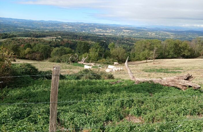 Terrain à vendre de 4122  proche de ESCOUTOUXx (63) — photo 2