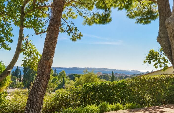 Dpt Alpes Maritimes (06), à vendre ANTIBES propriete 12 — photo 3