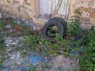 GRANGE/LOCAL proche CHATENOIS (88) idéale STOCKAGE ou Création de GARAGES ou pour Réhabilitation en MAISON — photo 3