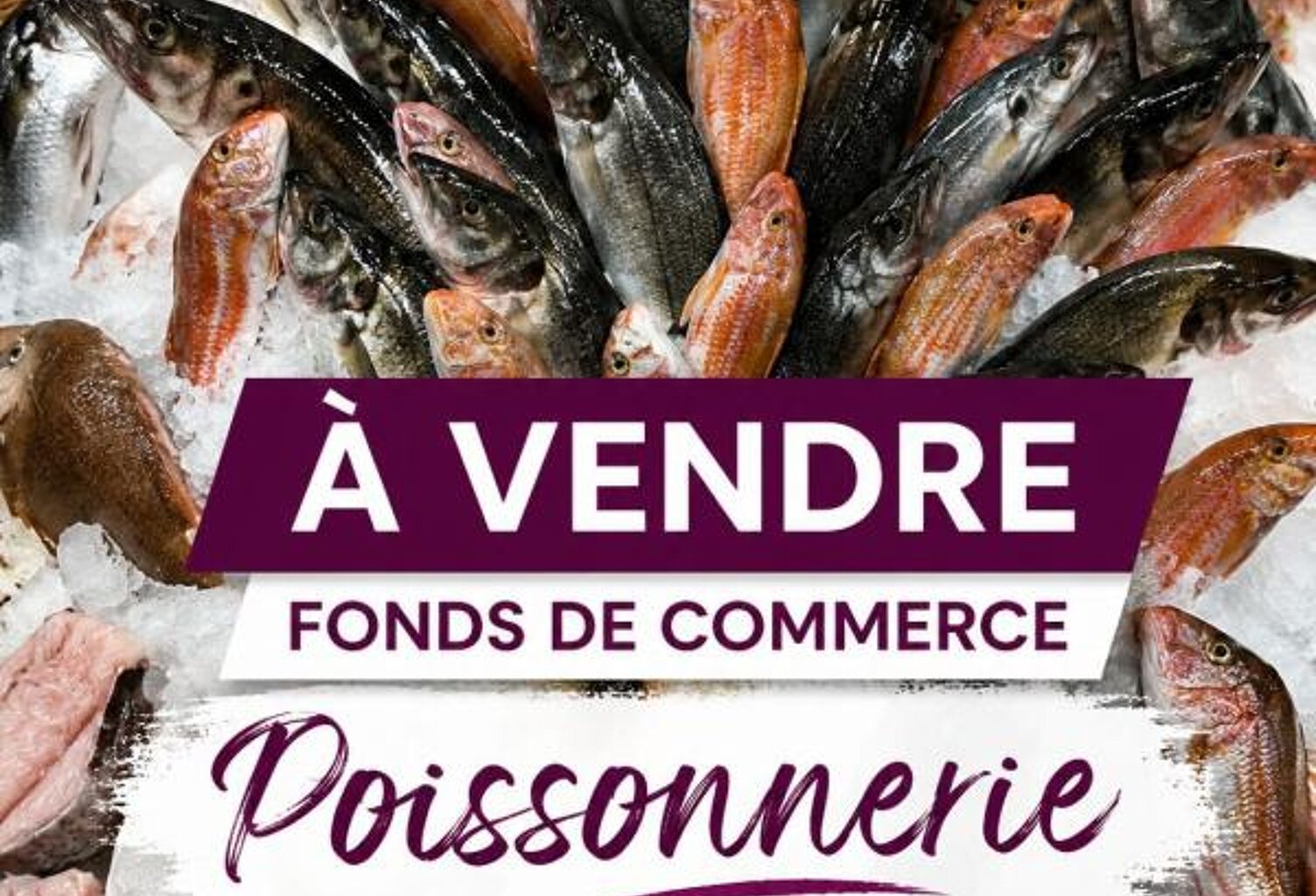 A vendre, fonds de commerce de poissonnerie en centre ville de Rennes — photo 1