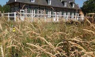 Maison 6 Pièces 132 m² à louer à Beuzeville (27210)