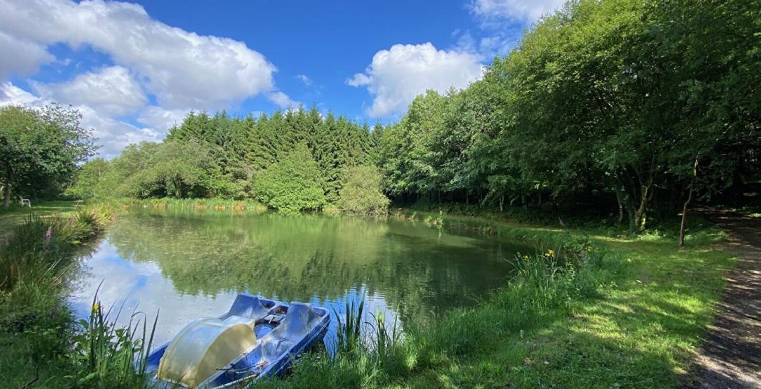DOMAINE FORESTIER — photo 1
