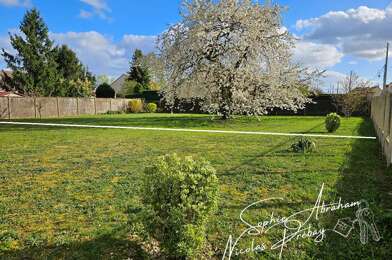 Terrain  55000 €
