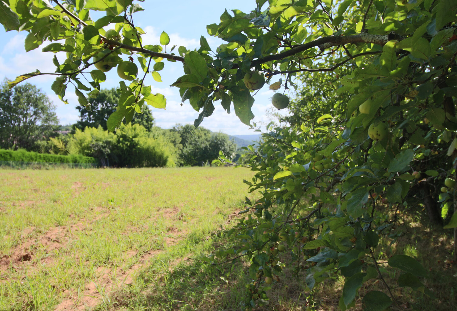 Beau terrain sur Puy l'évêque — photo 1