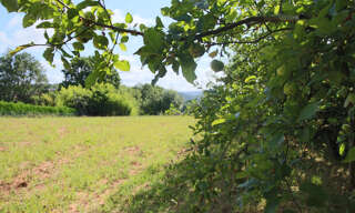 Terrain  1800 m² à vendre à Puy-l'Évêque (46700)