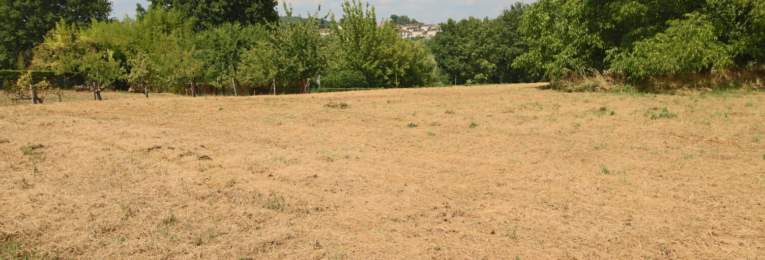 Terrain  3169 m² à vendre à Puy-l'Évêque (46700)