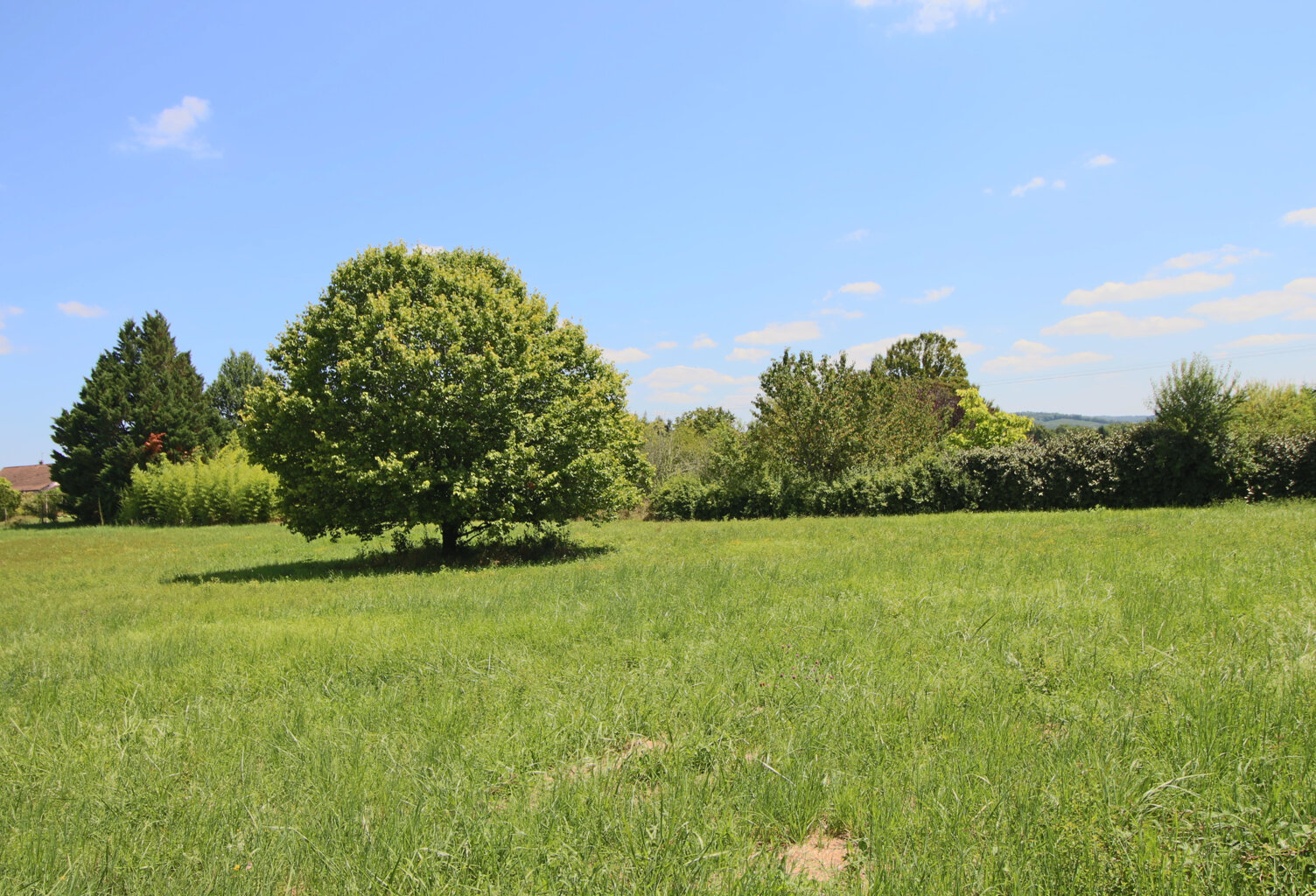Terrain sur Puy l'Evêque — photo 1