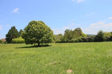 Terrain  41200 €