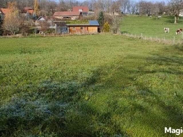 Terrain  borné de 1 190 m² à  Sainte Anne à 30 min de PONTARLIER — photo du bien