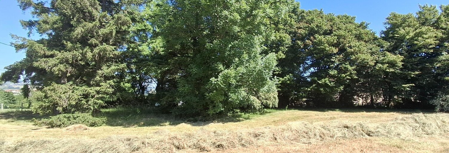 Terrain  1231 m² à vendre à Montseveroux (38122)