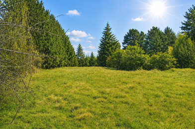 Terrain  124000 €