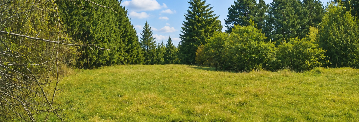Terrain  500 m² à vendre à Pont-Évêque (38780)