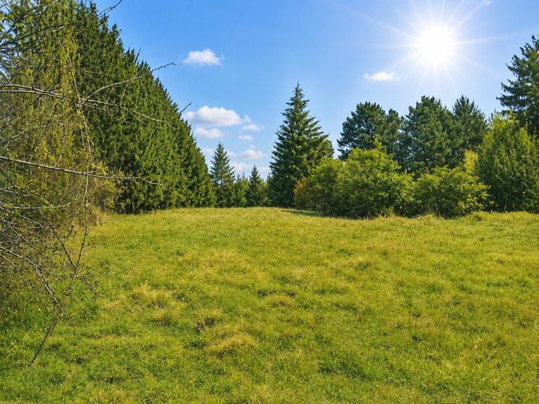 TERRAIN CONSTRUCTIBLE d'env. 500 m2 38780 PONT EVEQUE — photo 1