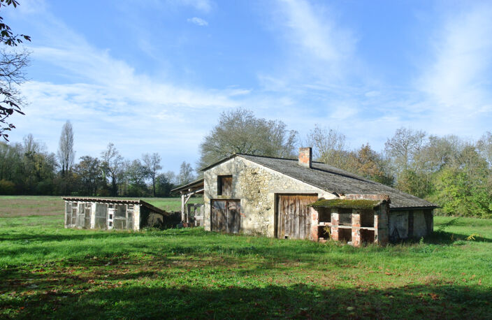 Aux portes du village de Duras — photo 4