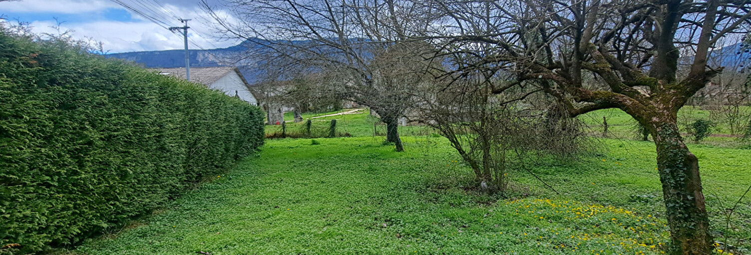 Photo N° 2