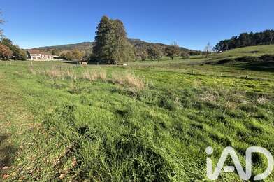 Terrain  59000 €