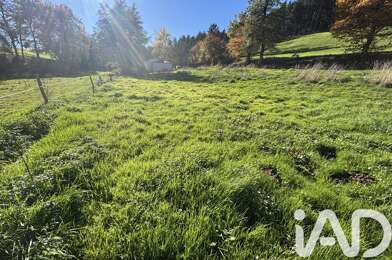 Terrain  59000 €