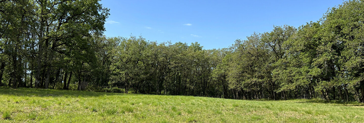 Terrain  3242 m² à vendre à Parisot (82160)