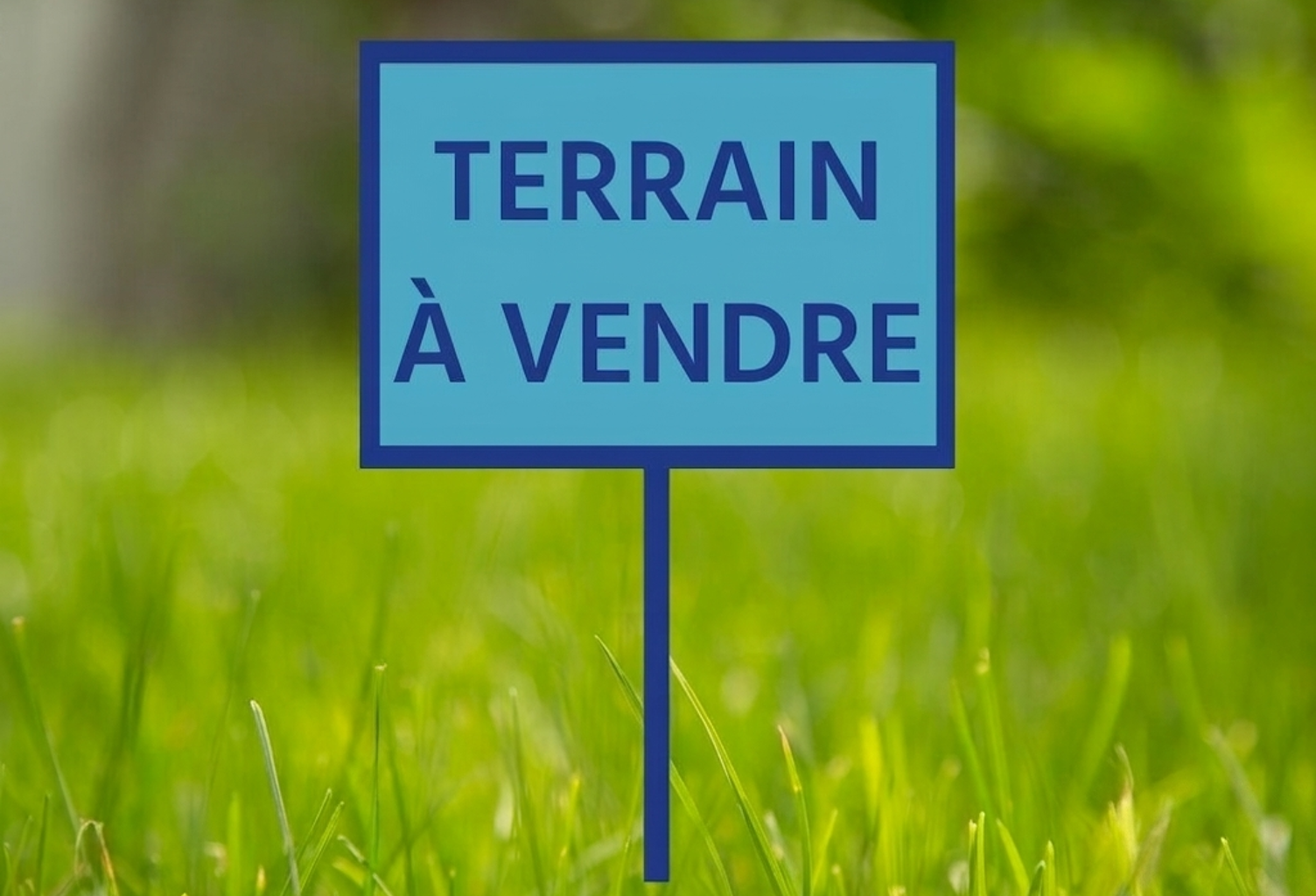 Peyssies beau Terrain à bâtir de 736 m2 — photo 1