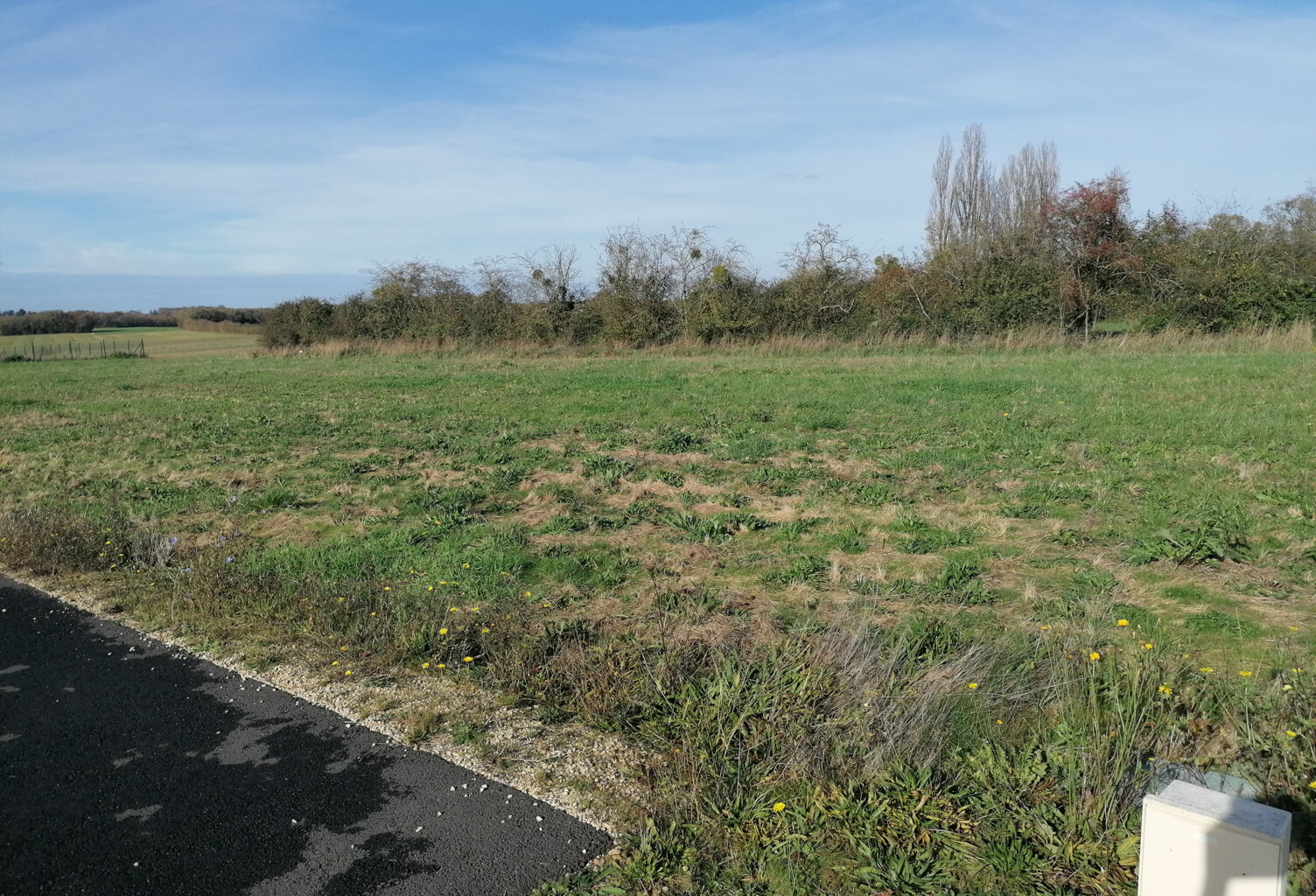 Terrain — photo 1