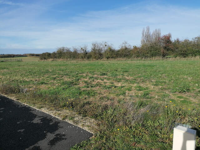 Terrain — photo du bien